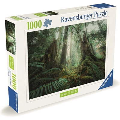 RAVENSBURGER V lese 1000 dielov