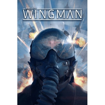 Sector D2 Project Wingman (PC)