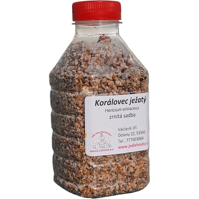 Sadba Korálovec ježatý cca 500 ml