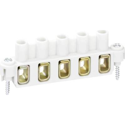 SPELSBERG Abox 060 KLS-6mm2 84000601