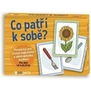 Co patří k sobě?