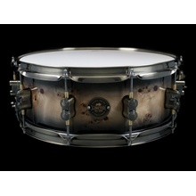 PDP Concept Limited Edition Maple,14x5,5"