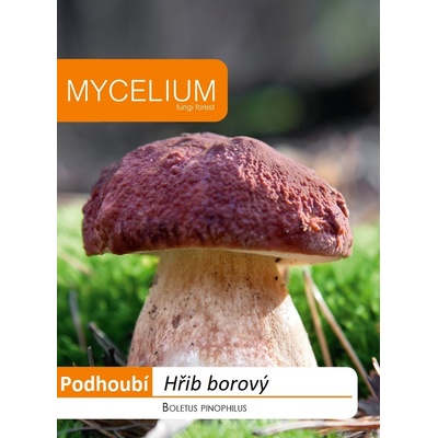 Hřib borový 10 g podhoubí