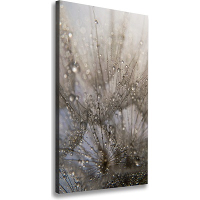 Vertikálny foto obraz na plátne Semená púpavy 50x100 cm