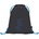 BAAGL LOGO