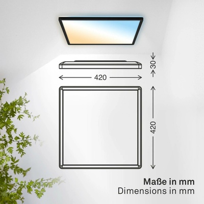B.K. Licht BKL1654
