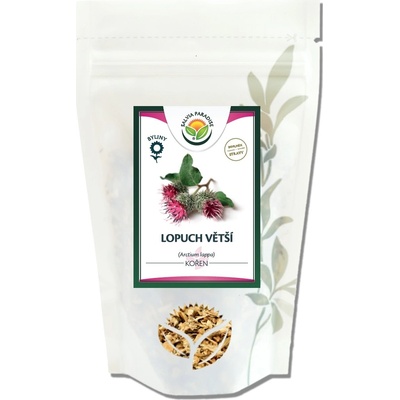 Salvia Paradise Lopuch větší kořen 10 g