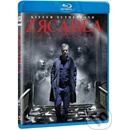 Zrcadla BD