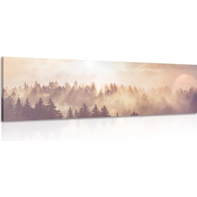 Obraz mlha nad lesem - 150x50