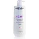 Šampony Goldwell Dualsenses Color Brilliance Fade Stop Shampoo 1000 ml