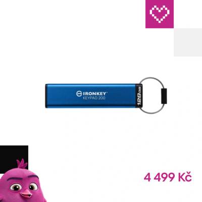 Kingston IronKey Keypad 200 128GB IKKP200/128GB