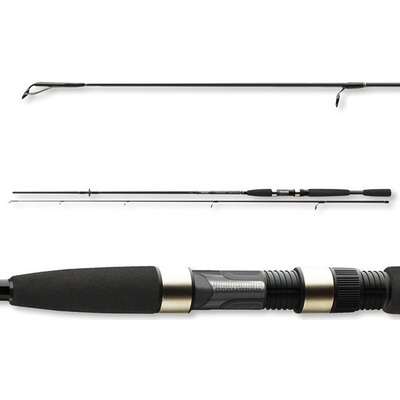 Cormoran i-COR BLACK SPINNING 2,4 m 4-20 g 2 díly