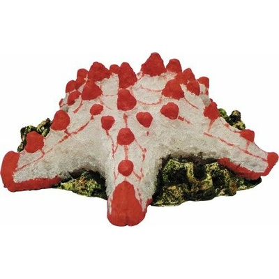 Hydor H2shOw Ocean Wonders Hvězdice 12x12x4 cm