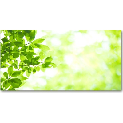 Foto obraz sklo tvrzené lístie 100x50 cm