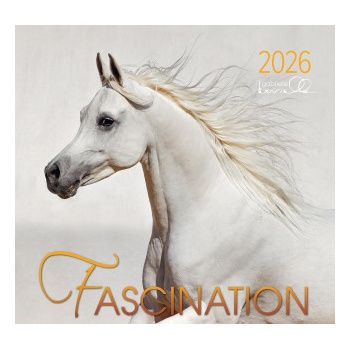 Fascination 2026