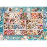 EUROGRAPHICS - Puzzle Seashell Collection - 1 000 piese