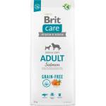 Brit Grain-free Adult Salmon & Potato - със сьомга, за кучета от всички породи, от 1 до 7 години, 3 кг