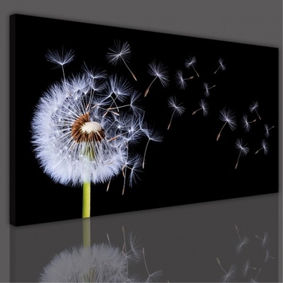 Divio Obraz na plátně pampeliška, vzor 15167 Velikost: 60x120 cm
