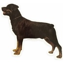 Trixie, Samolepka hlava Rottweiler tělo, kupírovaný