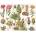 New York Puzzle Company - Puzzle Cacti - Cactus - 1 000 piese