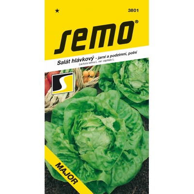 ŠALÁT HLÁVKOVÝ jarný a jesenný Major