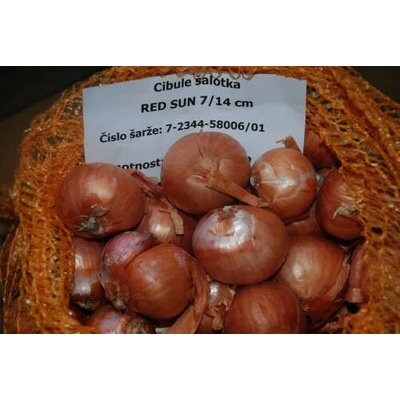 Cibule sazečka šalotka Red Sun 1 kg