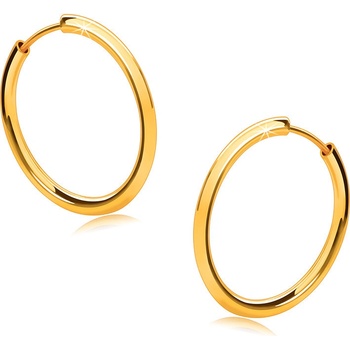 Šperky Eshop zlaté kruhové náušnice ve zlatě tenká zaoblená ramena lesklý povrch S2GG48.34