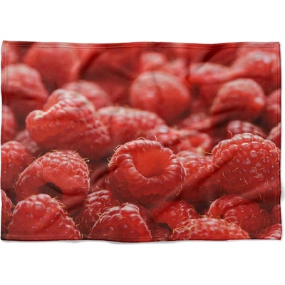 Impar fleece deka Maliny Podšití beránkem NE 150x120