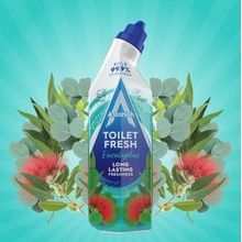 Astonish Gel na čištění toalety Eucalyptus 750 ml