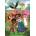 Clementoni - Puzzle Encanto disney - 40 - 99 piese