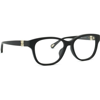 Chloé CH0336OA 001 16 53