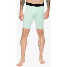 Stance Compression Nylon Underwear mint