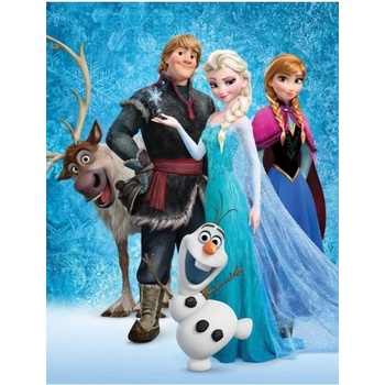 BrandMac Detská kvalitná fleecová deka Ľadové kráľovstvo Frozen Disney