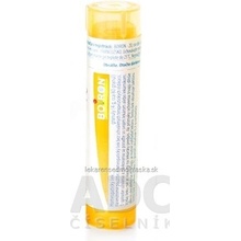 Colibacillinum gra.1 x 4 g 15CH