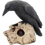 Nemesis Now Статуетка Nemesis Now Adult: Gothic - Ravens Remains, 13 cm (NEM2834)