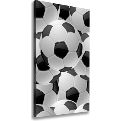 Vertikálny foto obraz na plátne do obývačky Futbal 50x100 cm