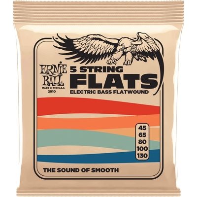 Ernie Ball 2810