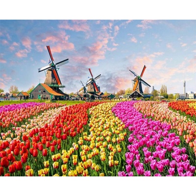 Gaira diamantové malování Tulipány D6856