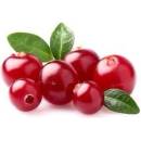 Frutie Cranberry 10 ml 2 mg