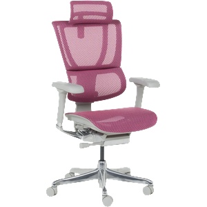 Ergohuman Ергономичен стол ergohuman ioo elite 2 - сива рамка - розов (3520673) - tierradesign