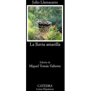 La lluvia amarilla (2016)