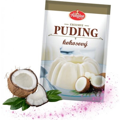 Amylon Exclusive puding kokosový 40 g – Zboží Dáma