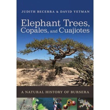 Elephant Trees, Copales, and Cuajiotes: A Natural History of Bursera