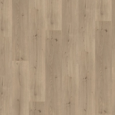 Parador Basic 30 1L Dub Infinity šedý 1730635 1.825 m²
