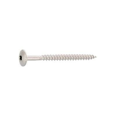 Trespo fasádní vrut s čočkovou hlavou 4,8x 38 Torx 20 nerez A2 (100 ks)