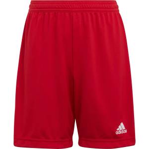 ADIDAS Къси панталони Entrada 22 - sportdepot - 20,52 лв