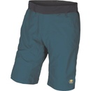 Pánské kraťasy a šortky Rafiki Lead majolica blue