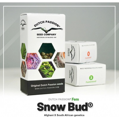 Dutch Passion Snow Bud semena neobsahují THC 5 ks