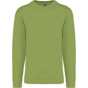 Kariban k474 / Мъжки суитшърт - шамфъстък s (20k47451001)