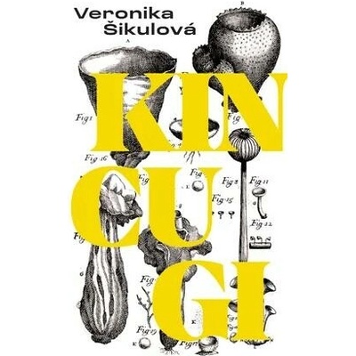 Kincugi